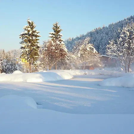 Montafon In With Sauna