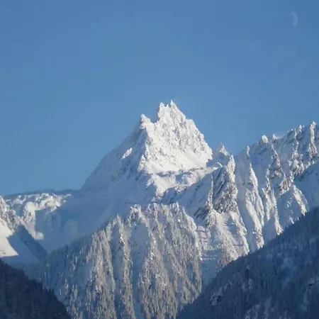 Montafon In With Sauna *