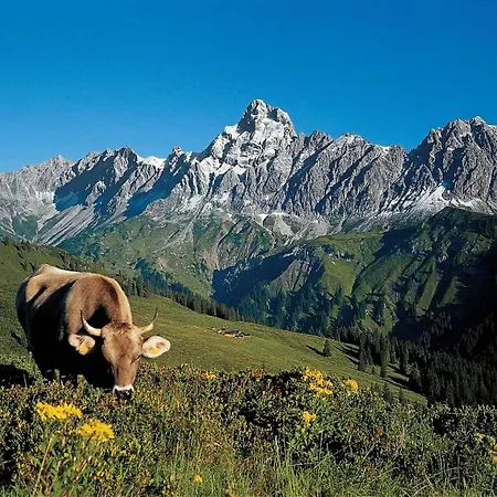 Montafon In With Sauna Gaschurn