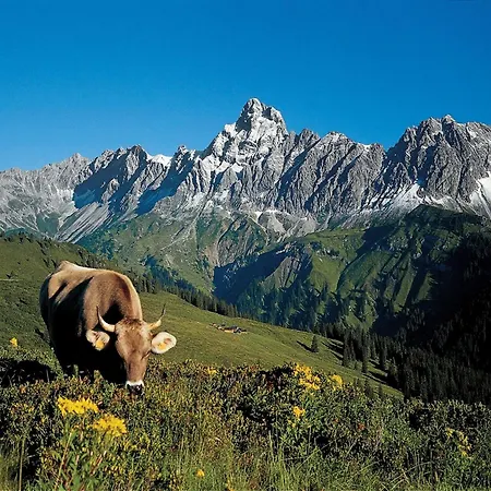 Domek alpejski Montafon In With Sauna *