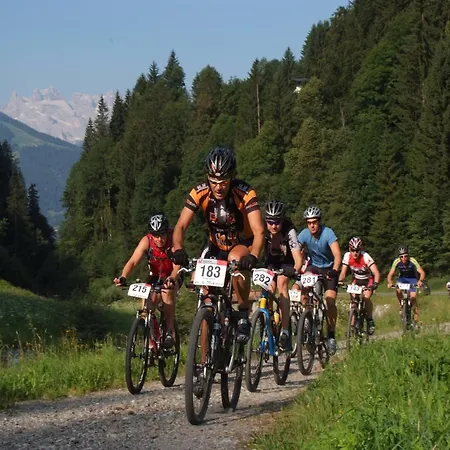 Montafon In With Sauna Chalet