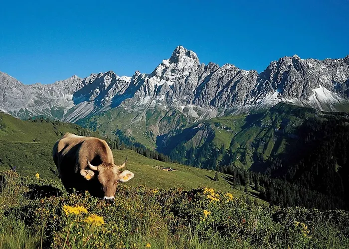Montafon In With Sauna Gaschurn