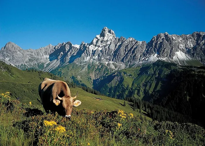 Chalet Montafon In With Sauna *