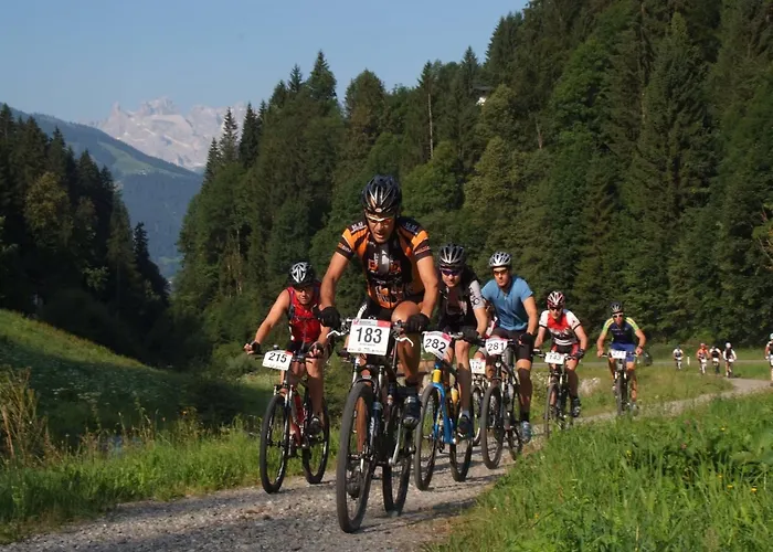 Montafon In With Sauna シャレー