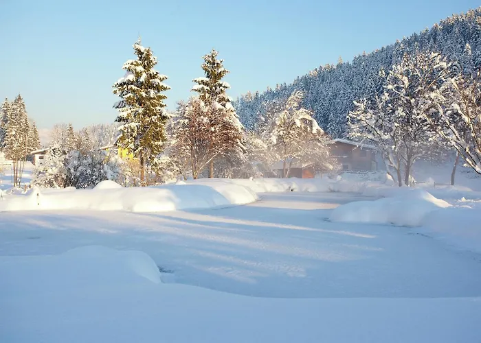 Montafon In With Sauna シャレー